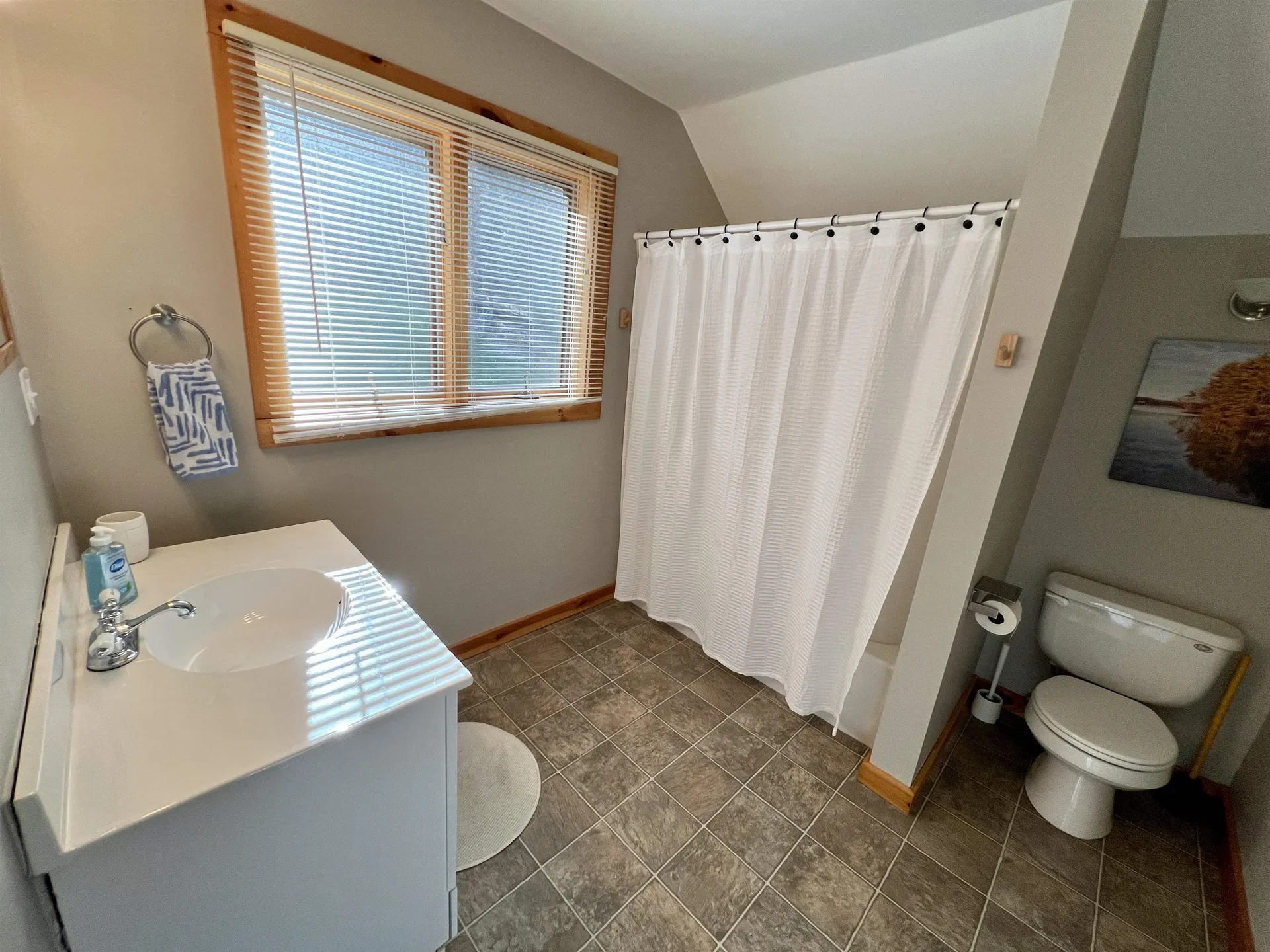 509 Silver Lane Wardsboro VT 05355