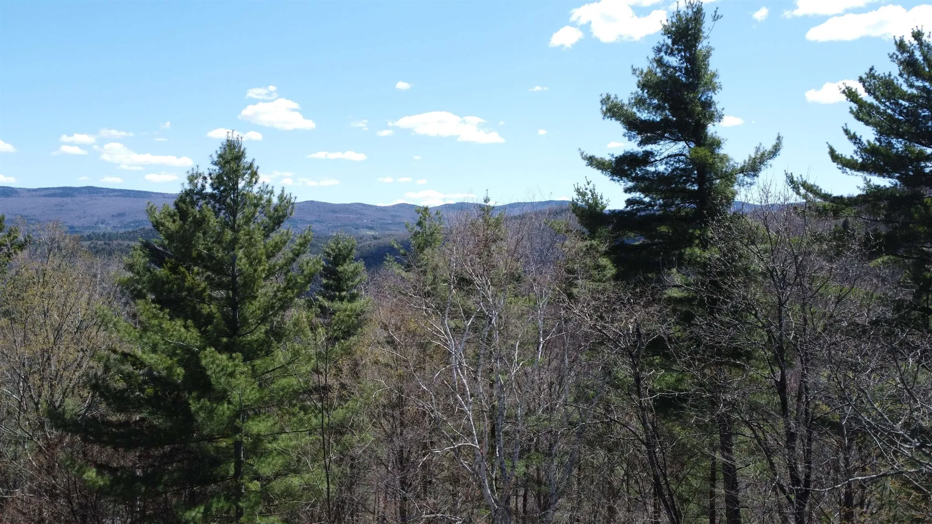 165 Morningstar Drive Warren VT 05674