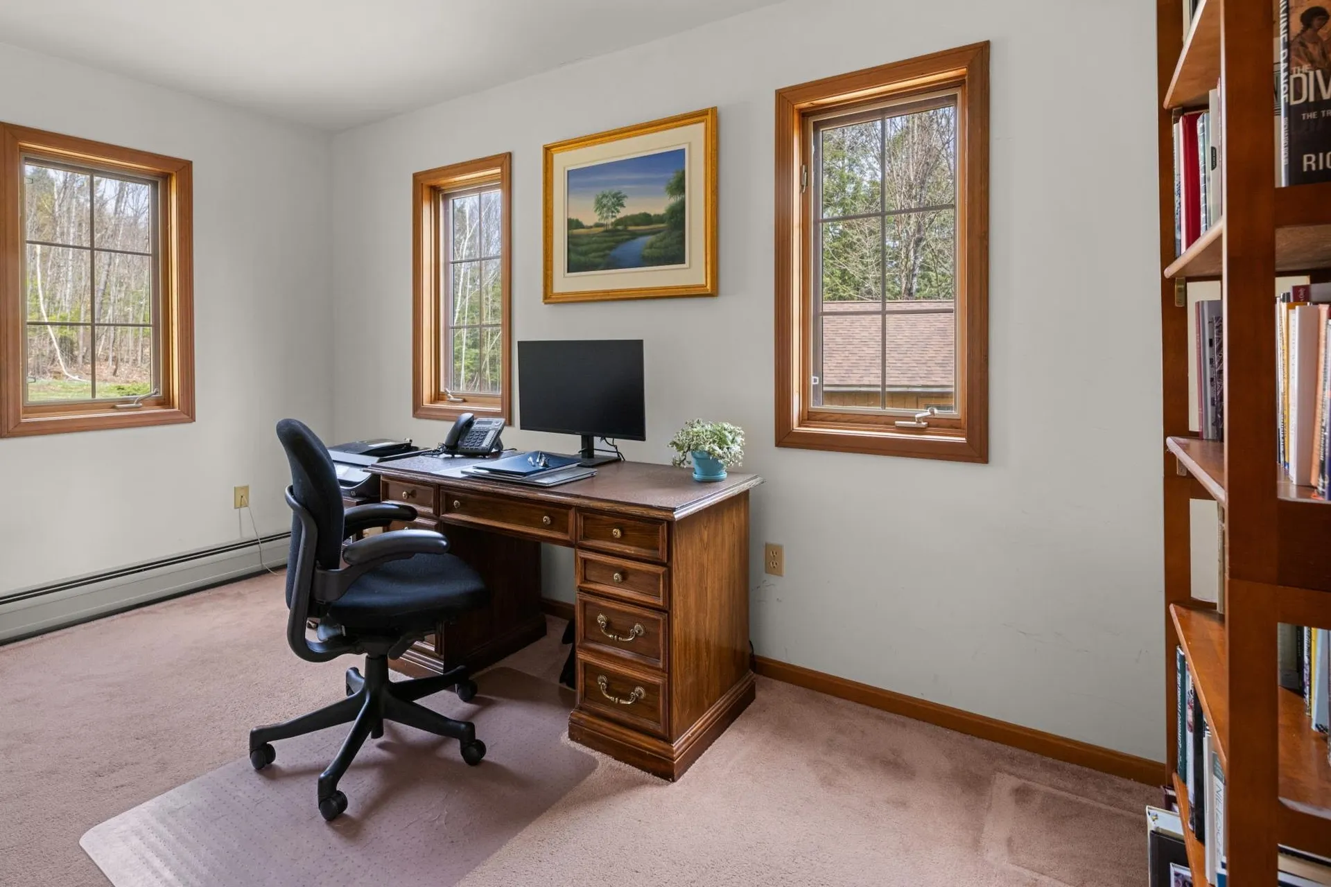 1117 Moulton Lane Stowe VT 05672