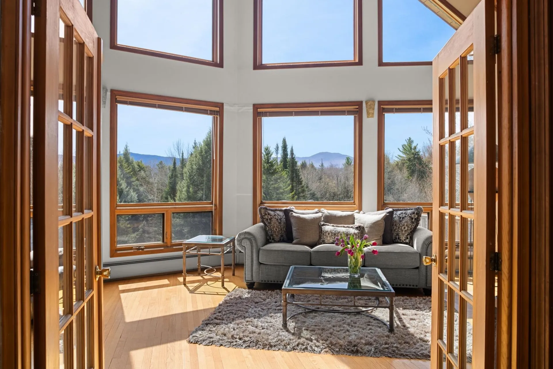1117 Moulton Lane Stowe VT 05672