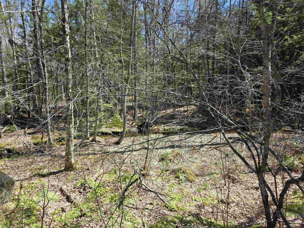 0 Mansfield Road Marlow NH 03456