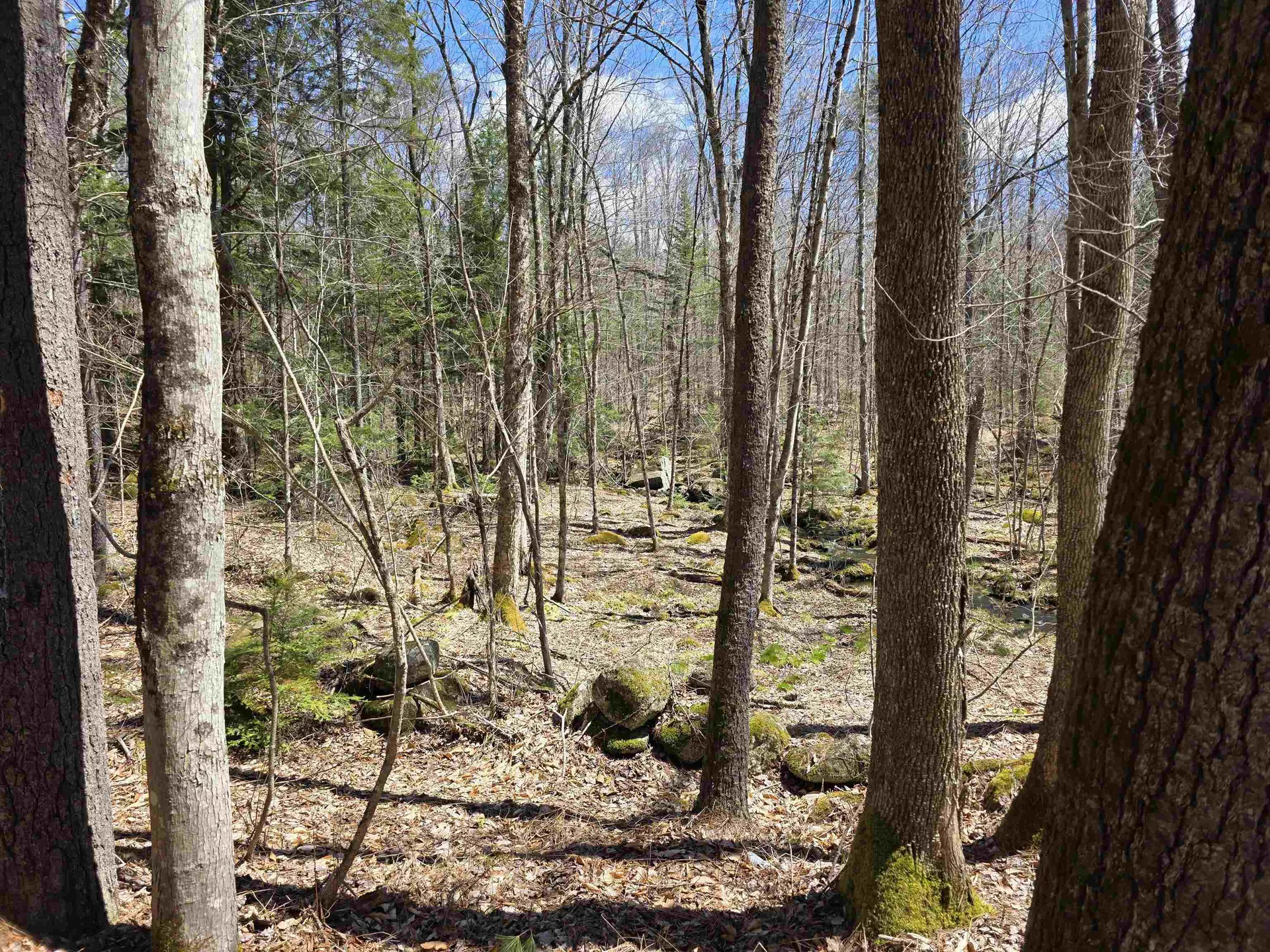 0 Mansfield Road Marlow NH 03456