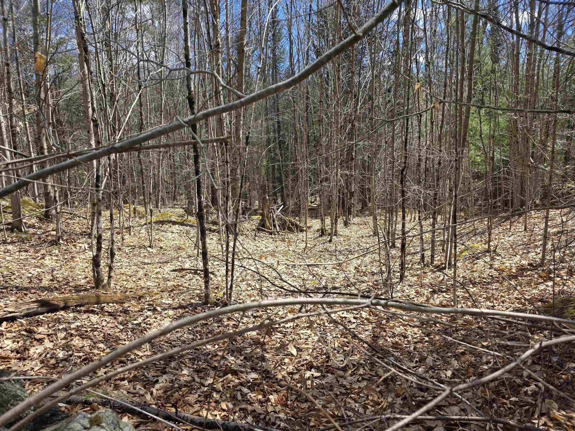0 Mansfield Road Marlow NH 03456