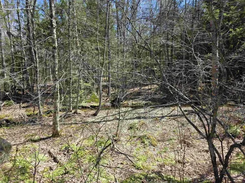 0 Mansfield Road Marlow NH 03456