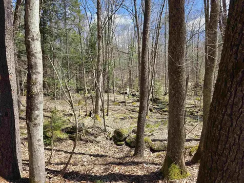 0 Mansfield Road Marlow NH 03456