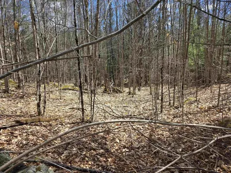 0 Mansfield Road Marlow NH 03456