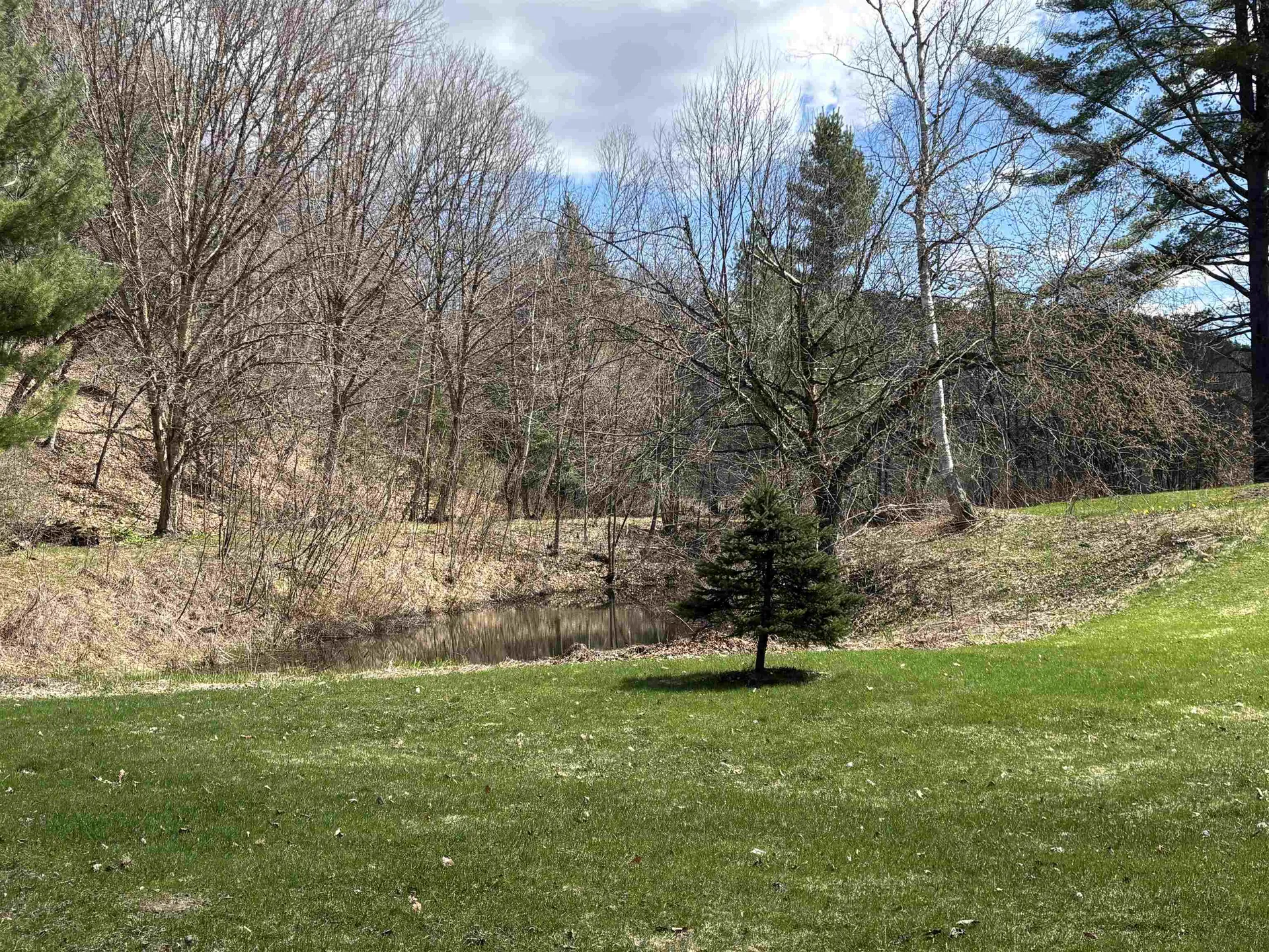 19 River Run Drive Hyde Park VT 05655