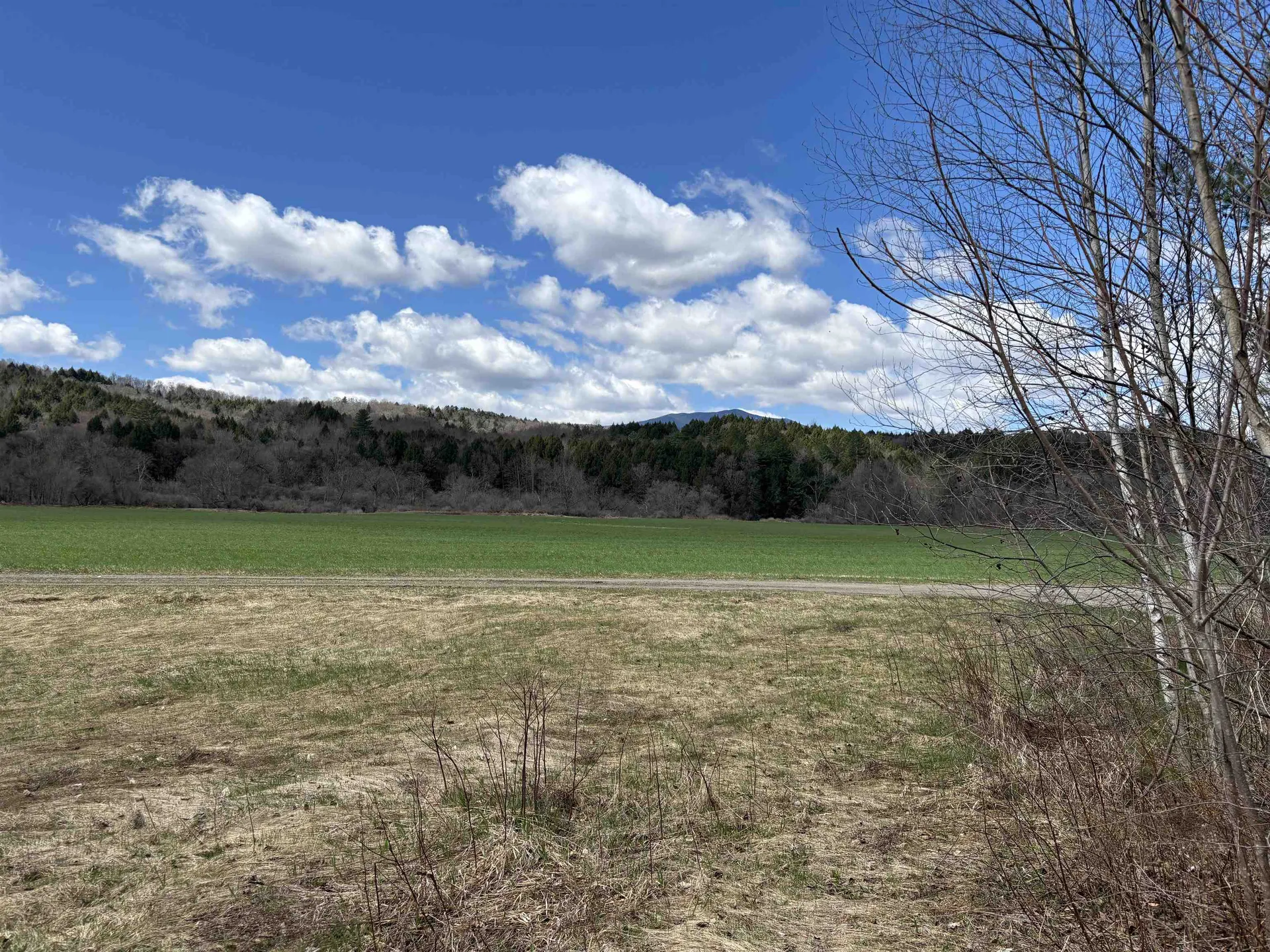 19 River Run Drive Hyde Park VT 05655