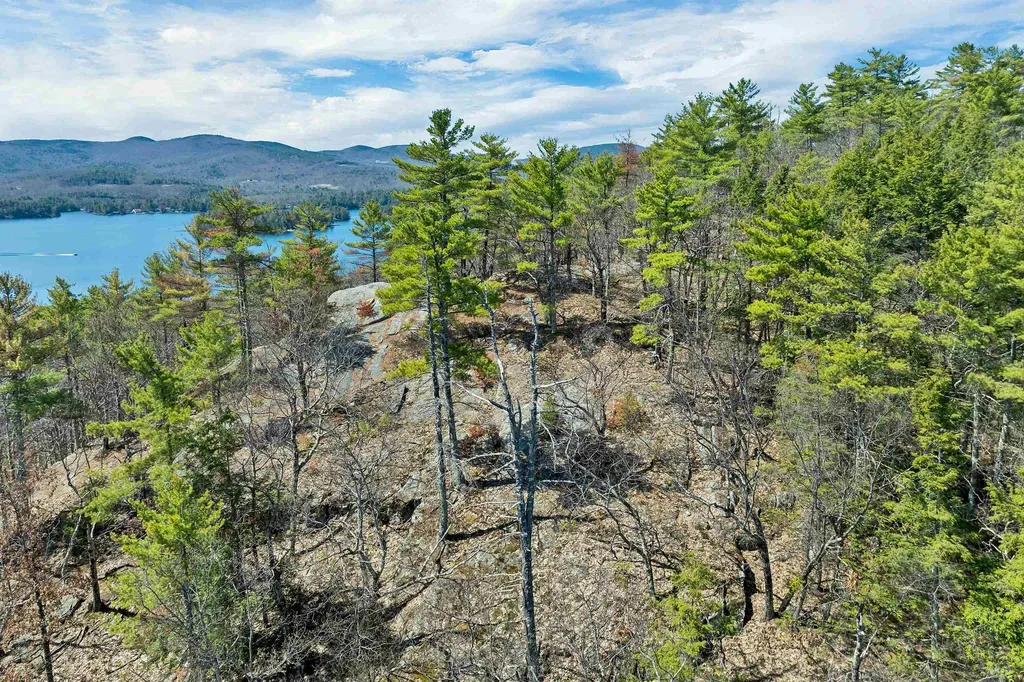 630 Rattlesnake Island Alton NH 03810