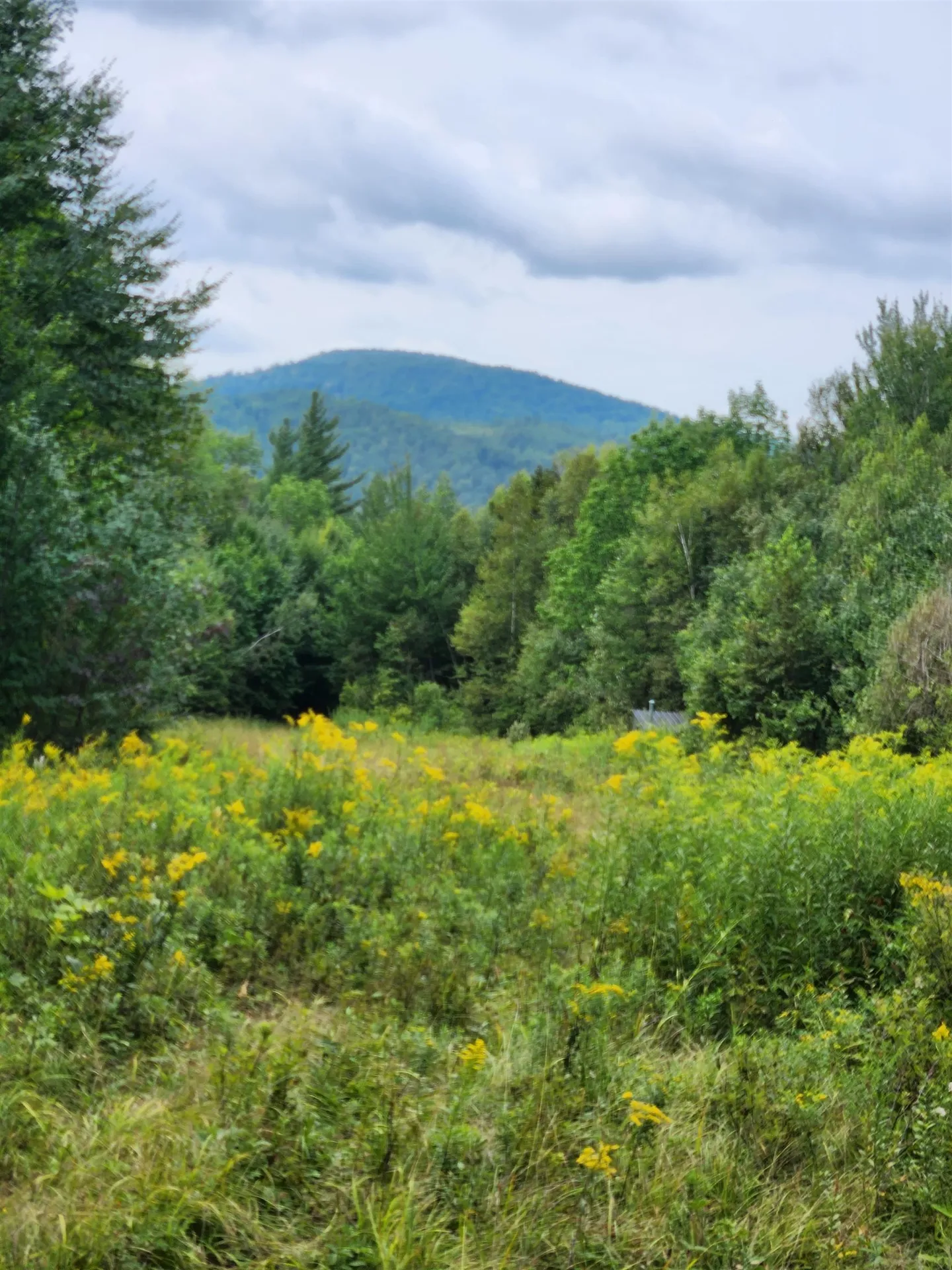 348 Parker Road Carroll NH 03595