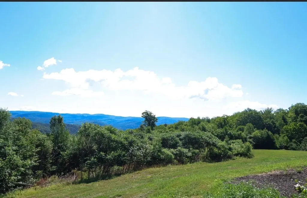 167 Ward Hill Road Tunbridge VT 05077