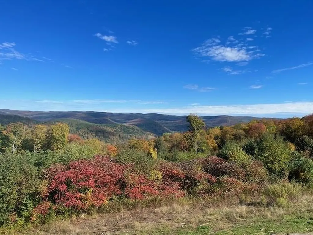 167 Ward Hill Road Tunbridge VT 05077