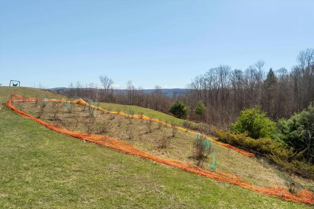 167 Ward Hill Road Tunbridge VT 05077