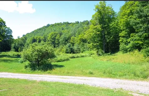 167 Ward Hill Road Tunbridge VT 05077