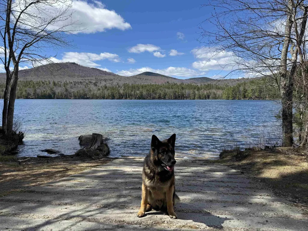 61 Bayle Mountain Road Ossipee NH 03814