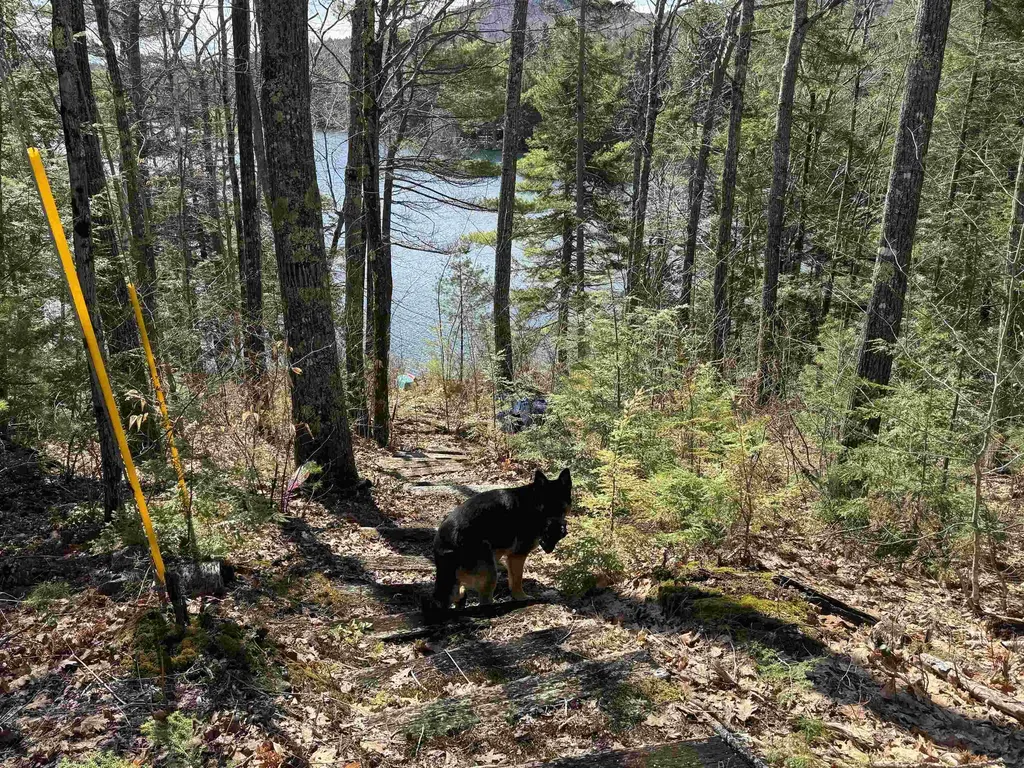 61 Bayle Mountain Road Ossipee NH 03814