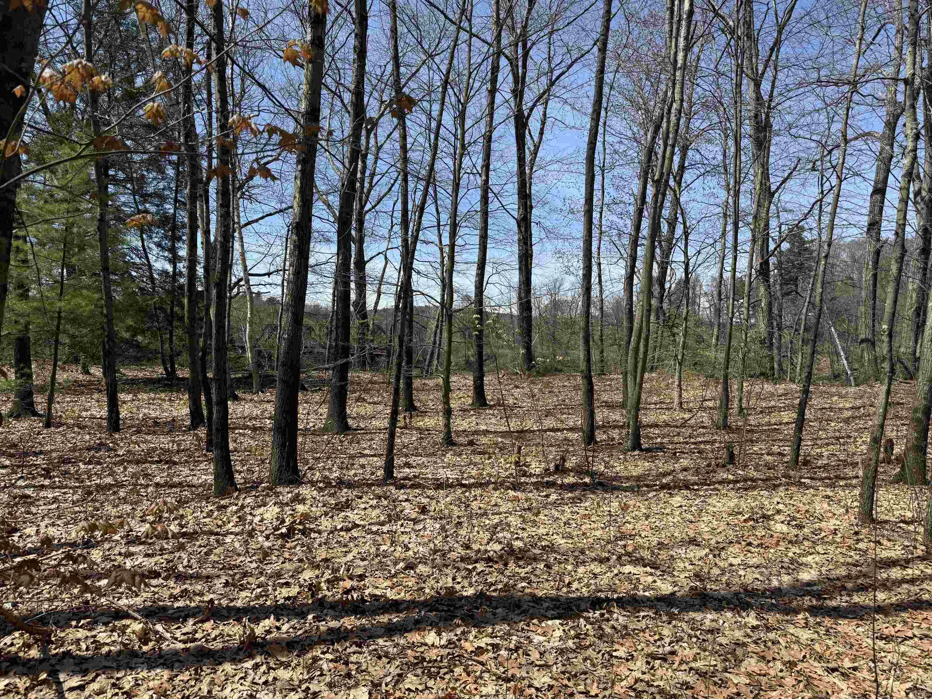 244 Mountain Road Chesterfield NH 03466