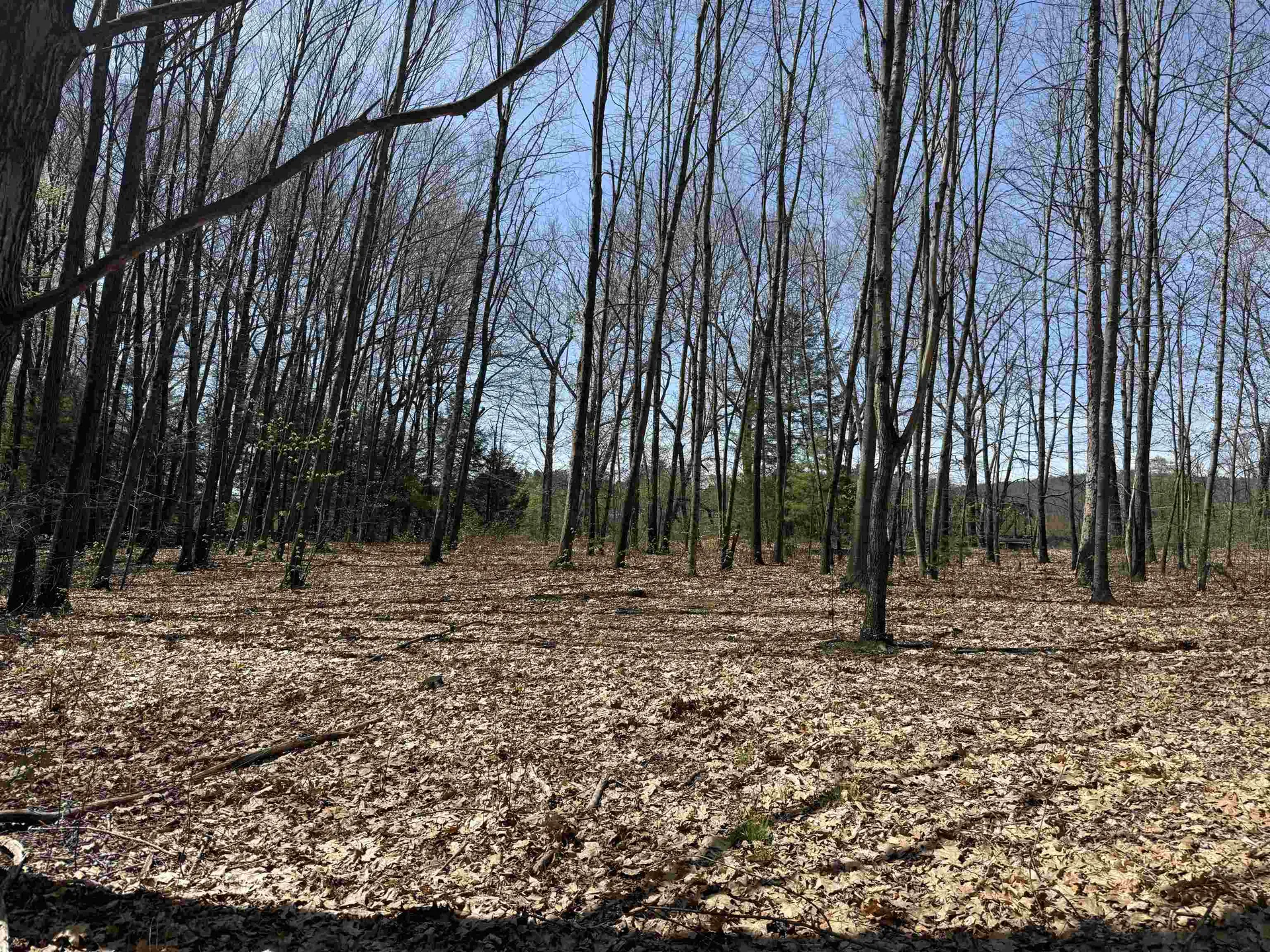 244 Mountain Road Chesterfield NH 03466