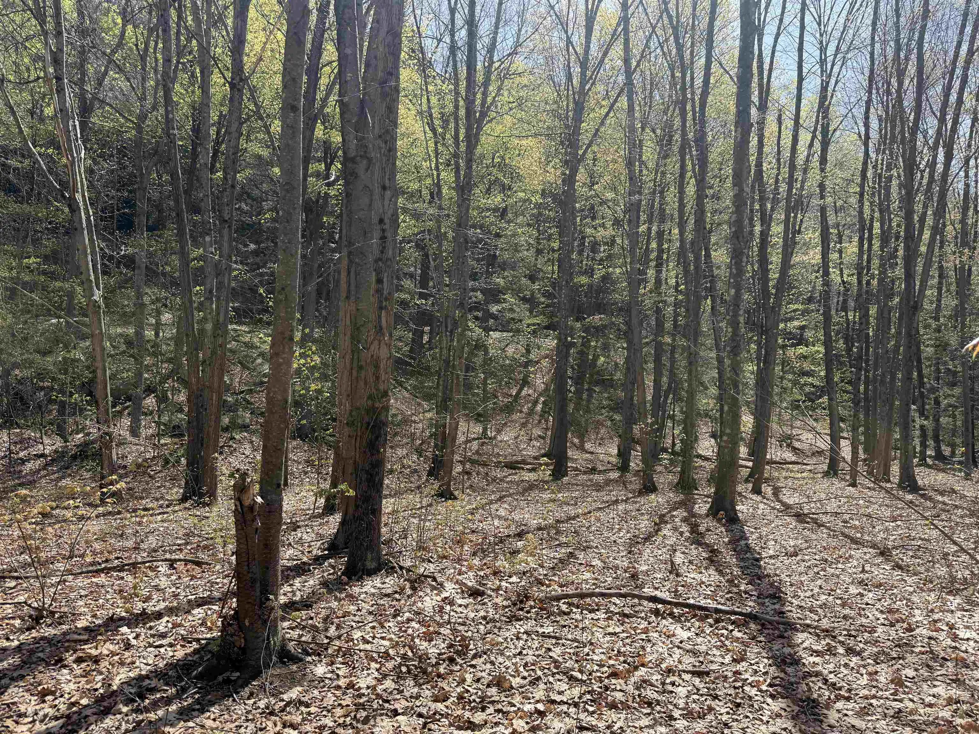 244 Mountain Road Chesterfield NH 03466