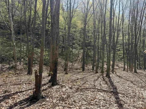 244 Mountain Road Chesterfield NH 03466