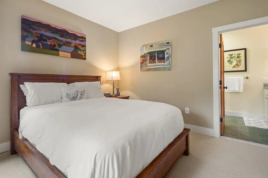 265 Landmark Lane Stowe VT 05672