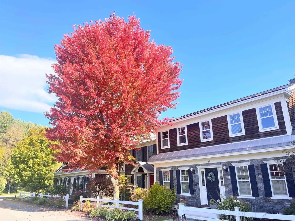 265 Landmark Lane Stowe VT 05672