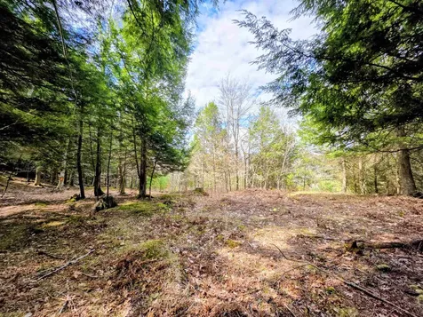440 Stapelfeld Drive Ryegate VT 05081