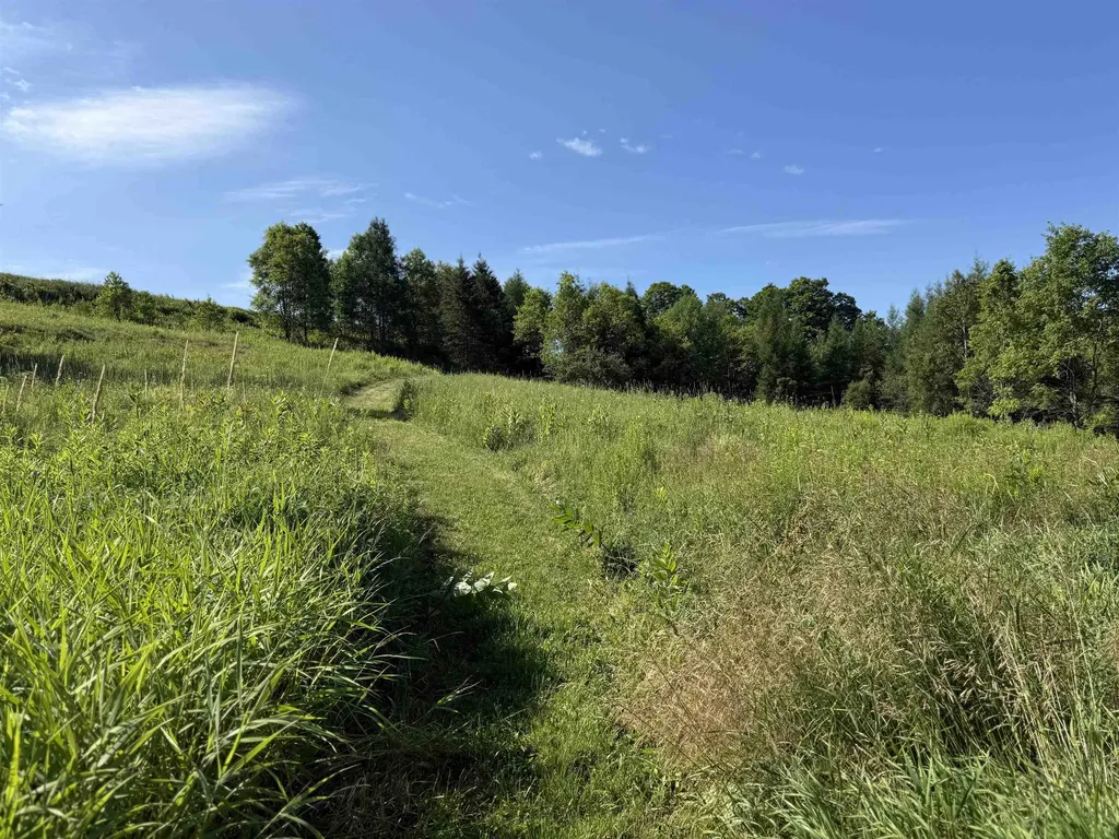 246 Gray Road Plainfield VT 05667