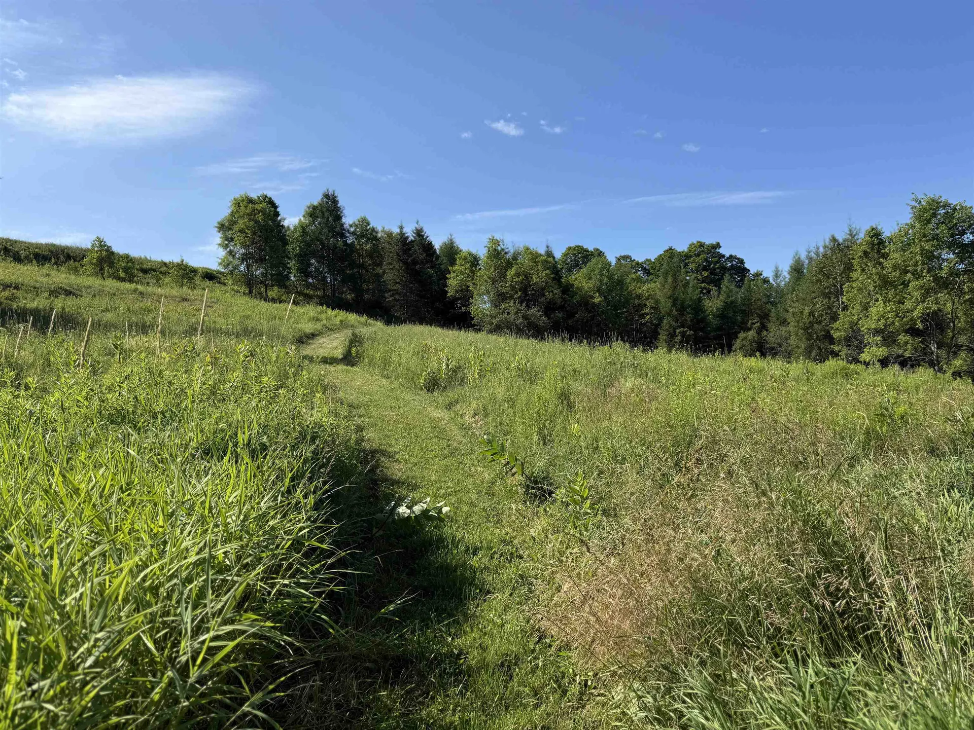 246 Gray Road Plainfield VT 05667