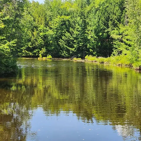 80 N Dorr Way Wakefield NH 03830