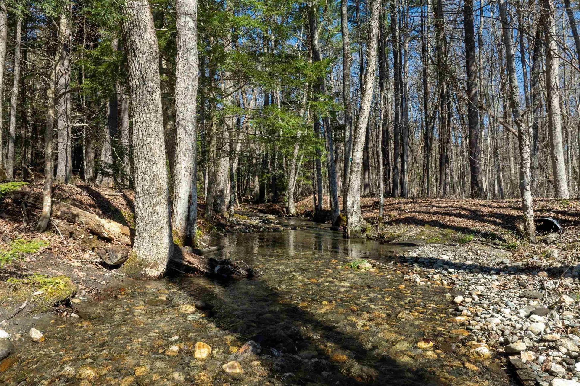 100 Wright Way Westminster VT 05158