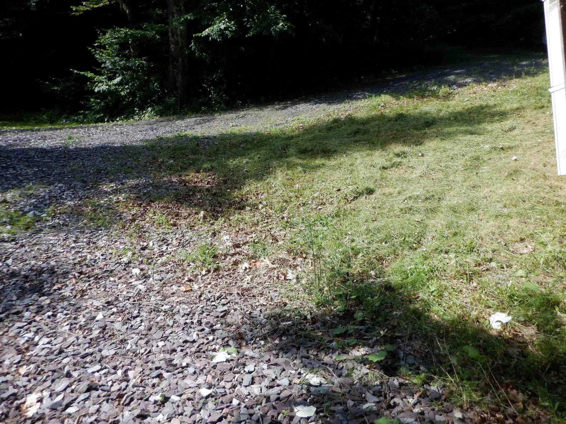 00 Perch Pond Road Benson VT 05743