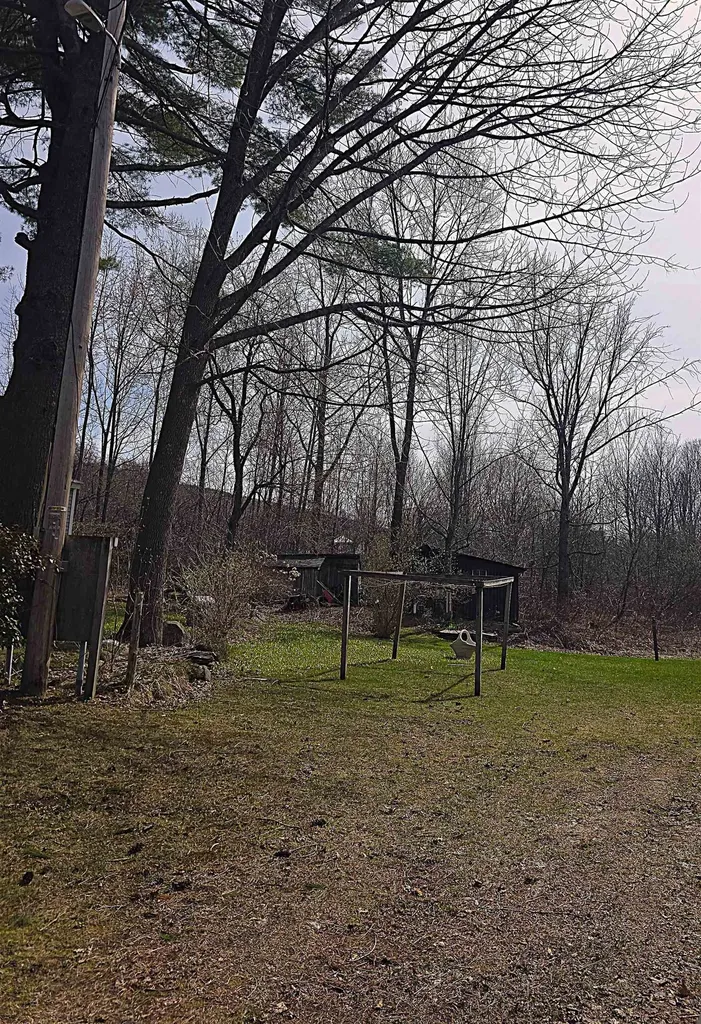 403 Cogswell Street Williamstown VT 05654