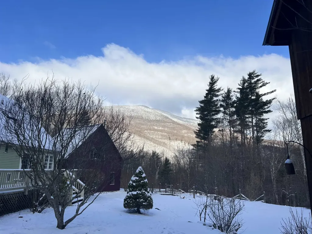 808 South End Road Mount Tabor VT 05253