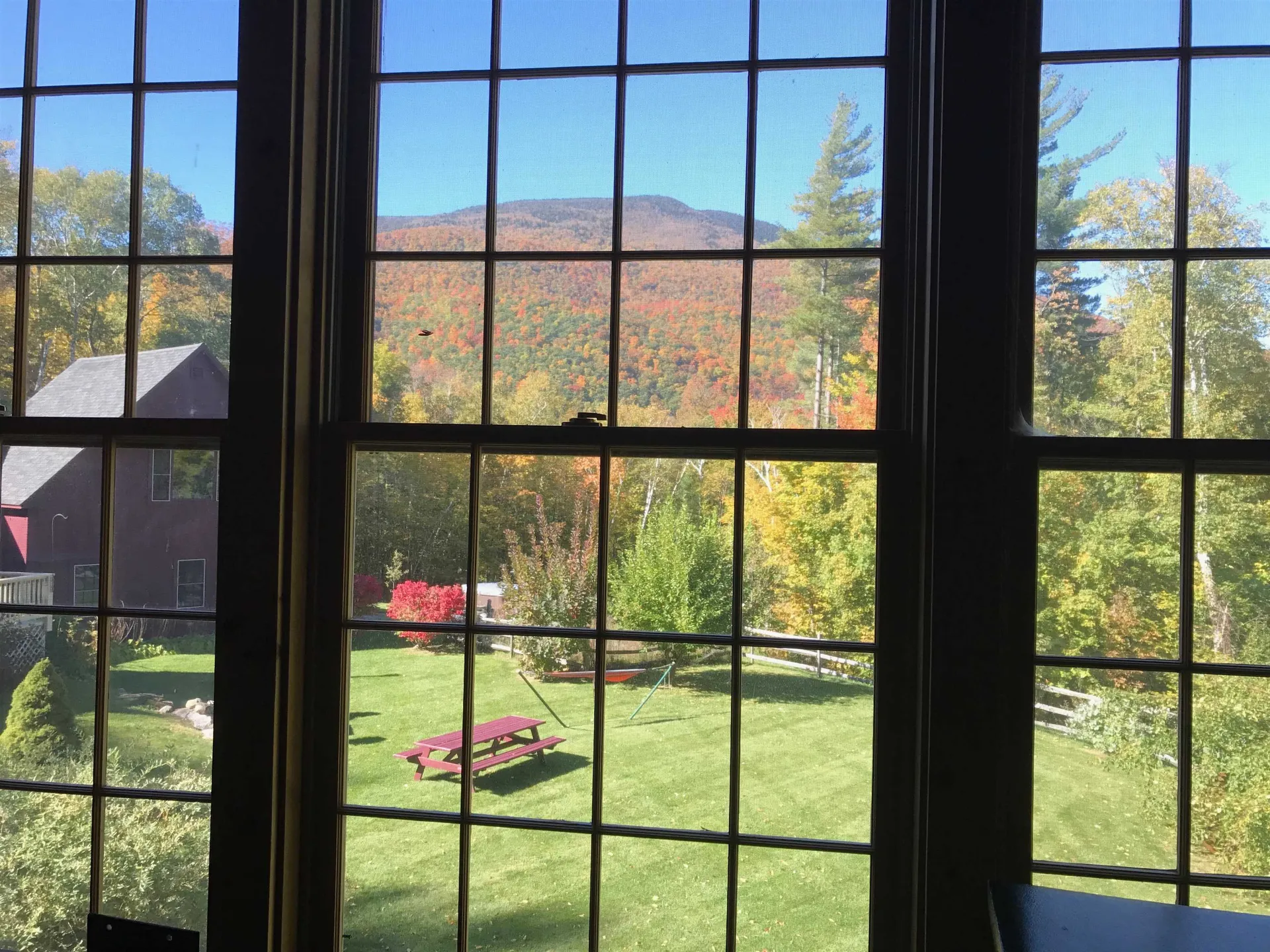 808 South End Road Mount Tabor VT 05253
