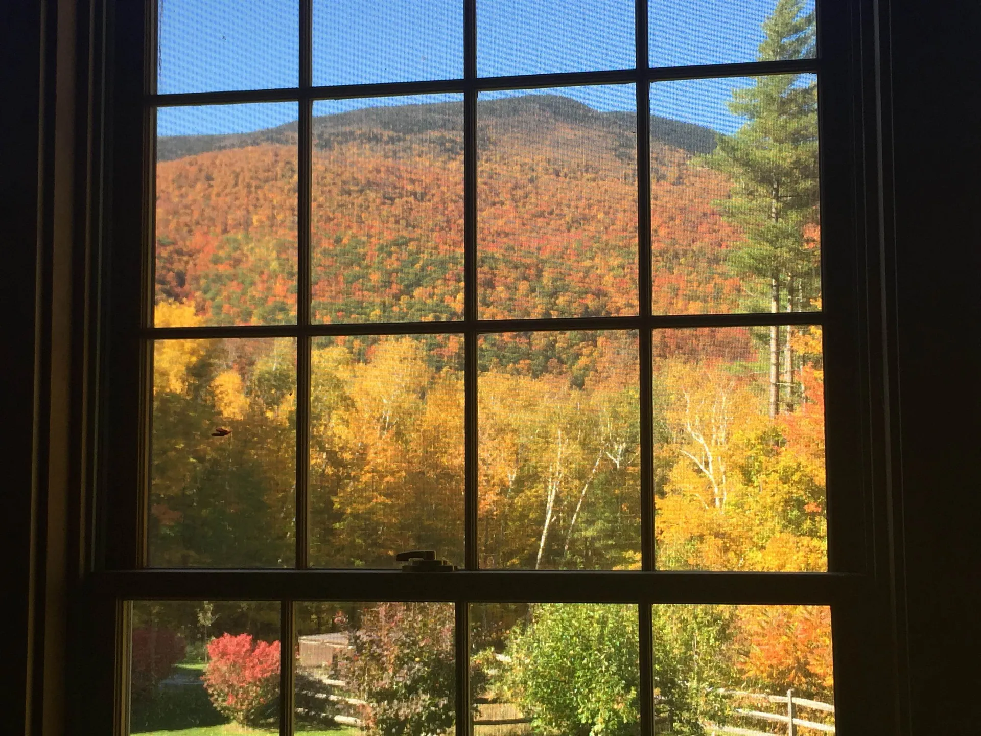 808 South End Road Mount Tabor VT 05253