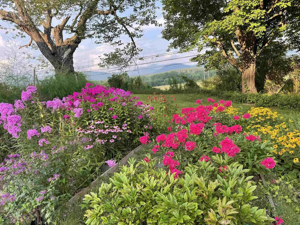 3277 Creek Road Clarendon VT 05759