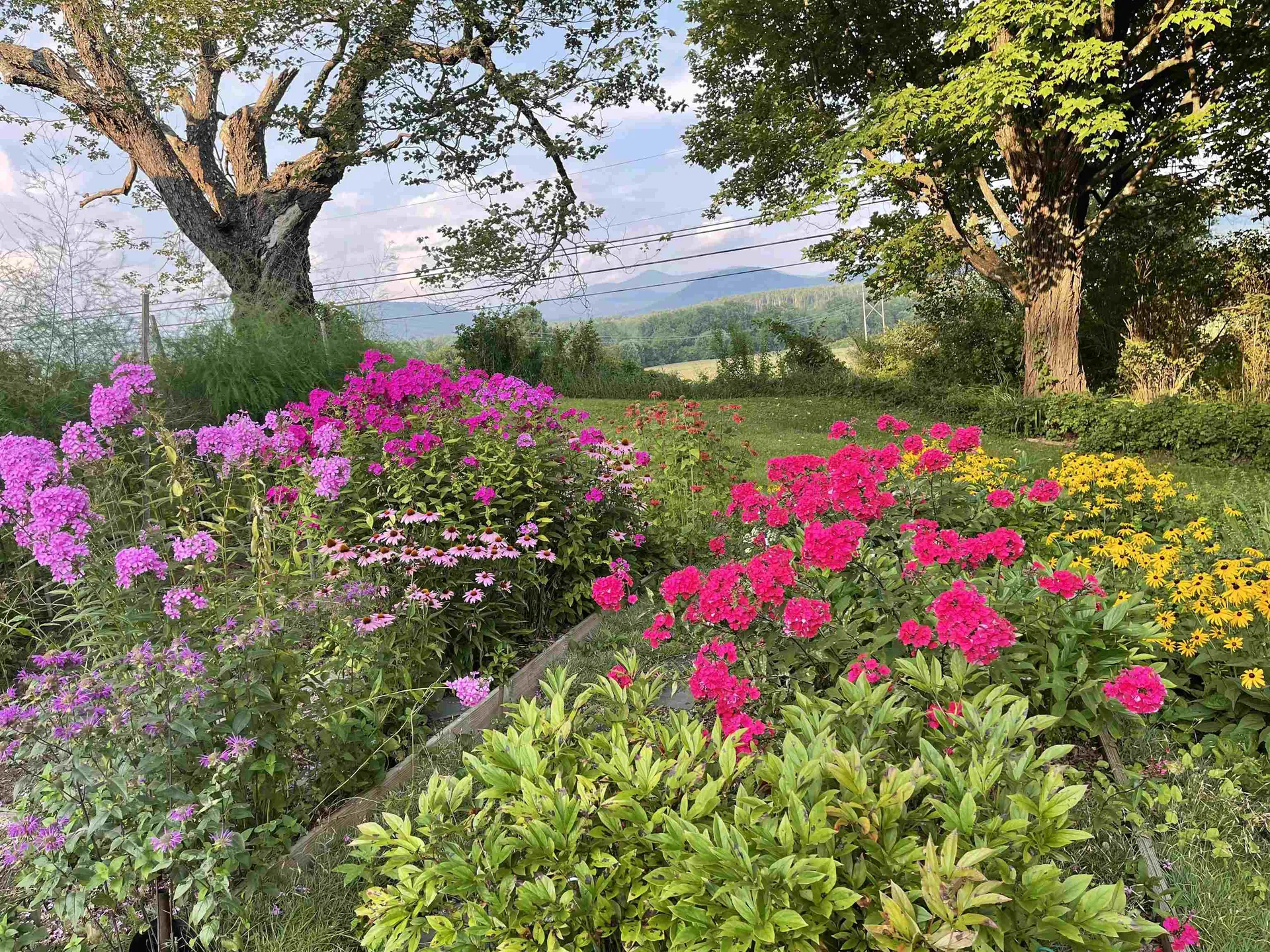 3277 Creek Road Clarendon VT 05759