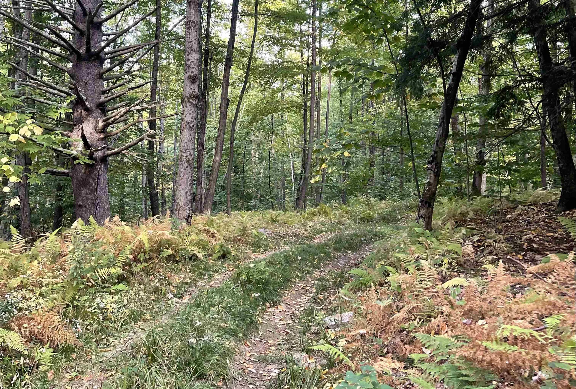 3277 Creek Road Clarendon VT 05759