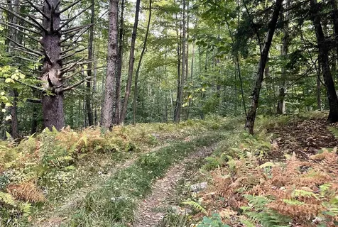 3277 Creek Road Clarendon VT 05759