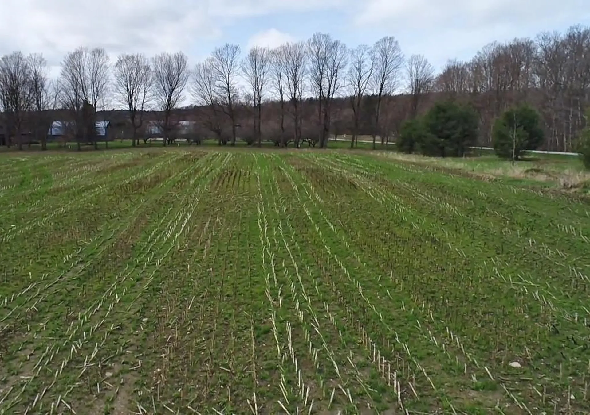 Tbd Hewitt Road Bristol VT 05443