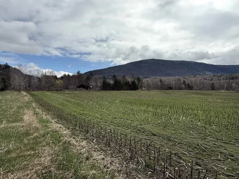 Tbd Hewitt Road Bristol VT 05443