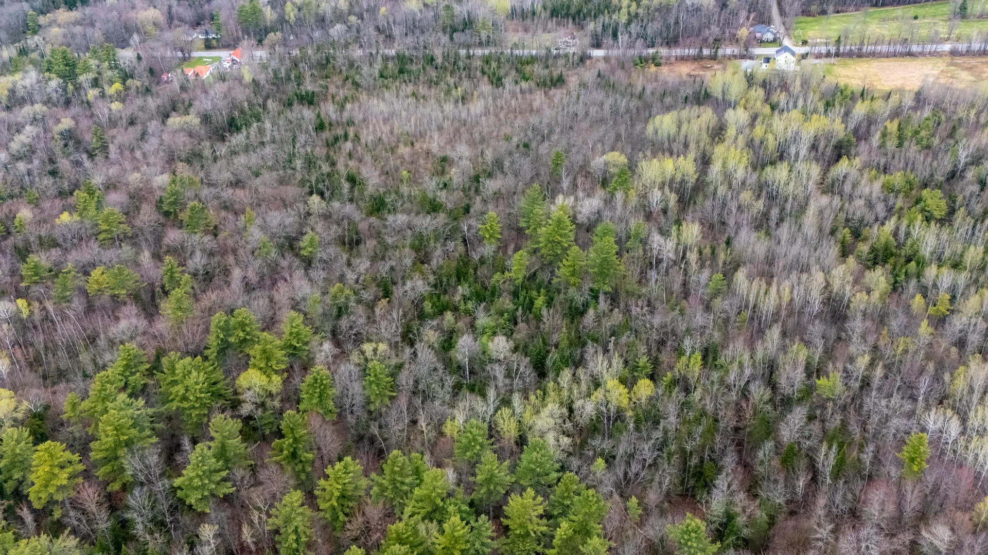 Lot 204-1.1 Main Street Bethlehem NH 03574
