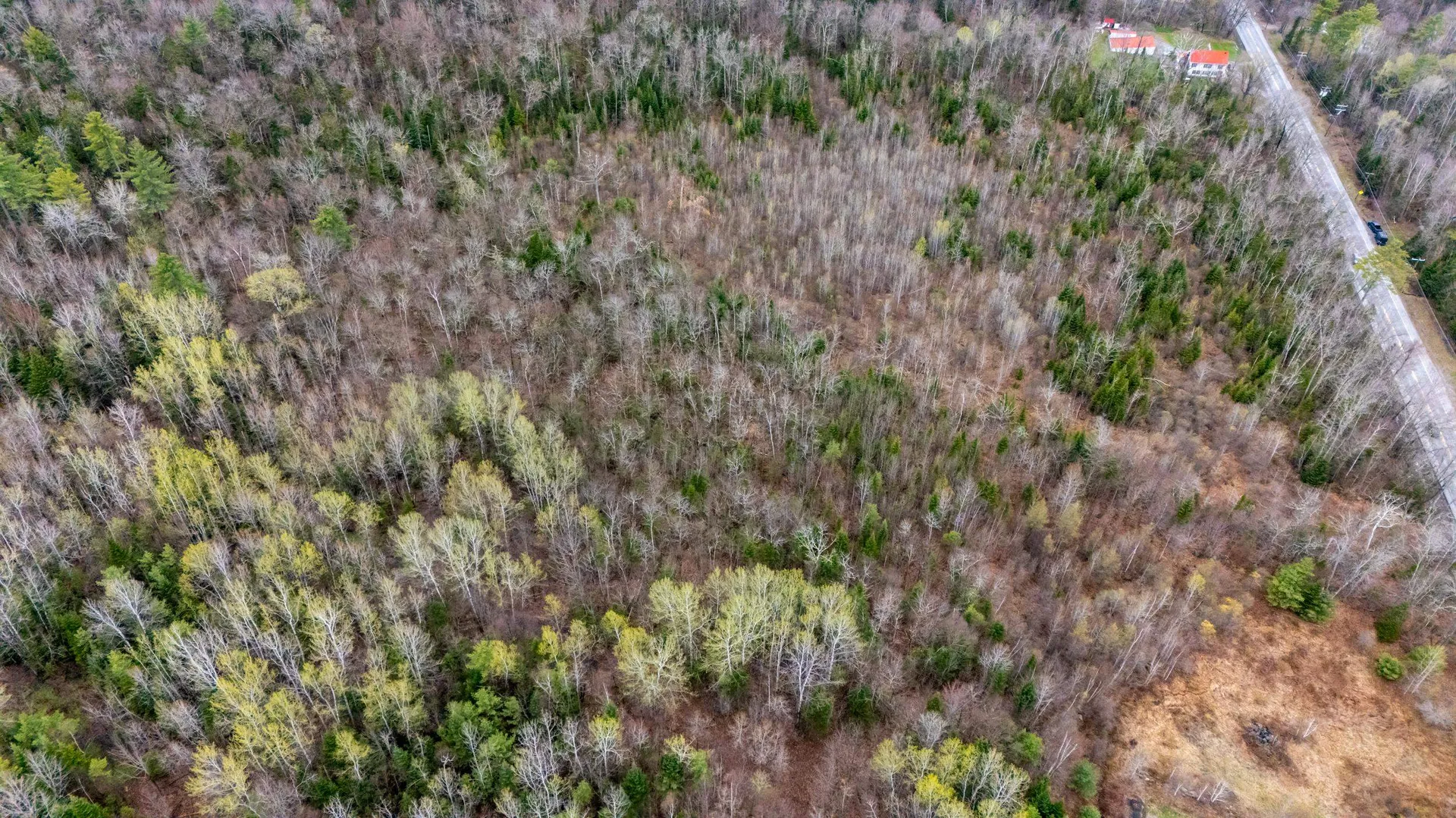 Lot 204-1.1 Main Street Bethlehem NH 03574