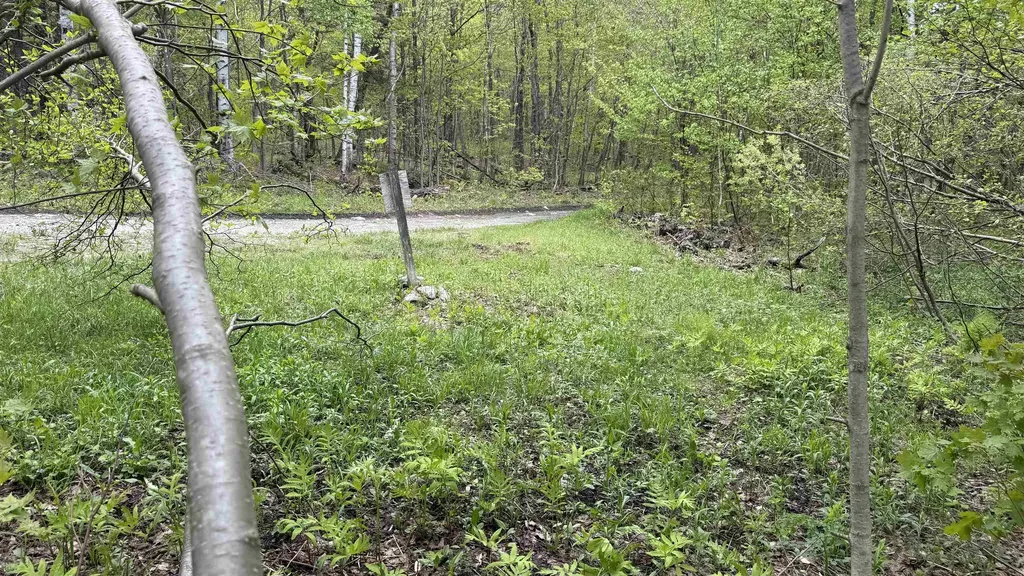 00 Potter Road Lowell VT 05847