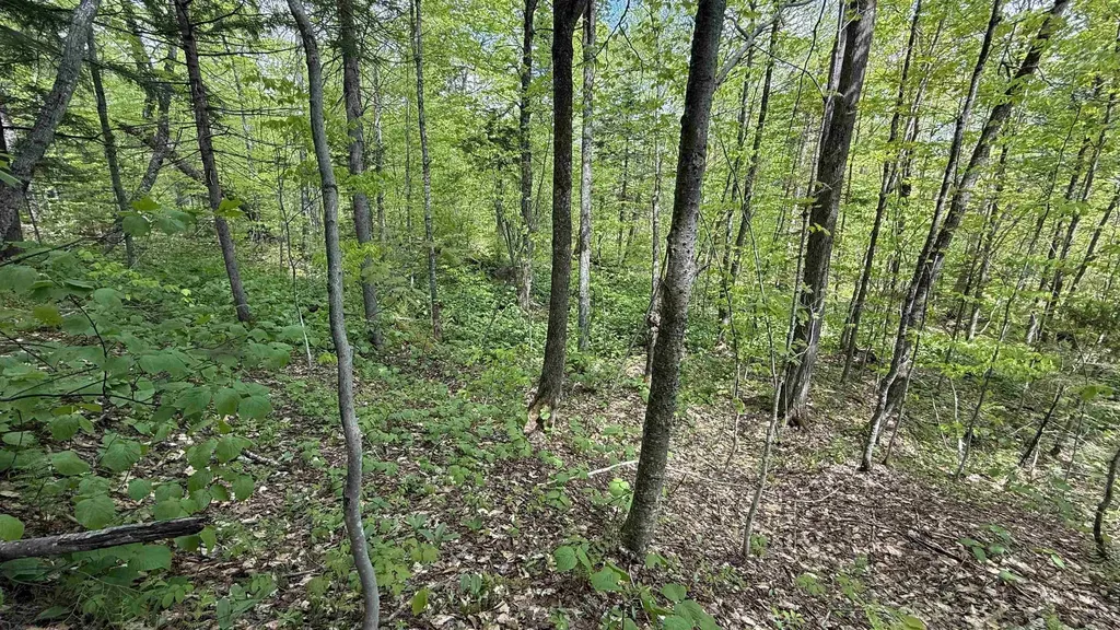 00 Potter Road Lowell VT 05847