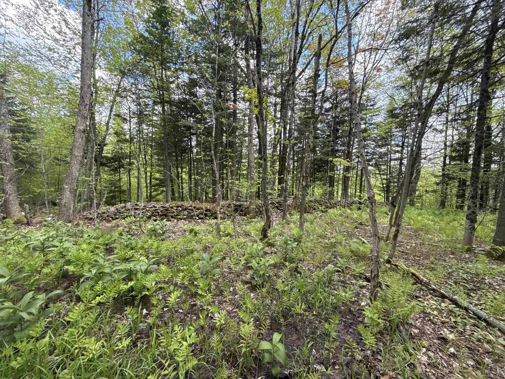 00 Potter Road Lowell VT 05847