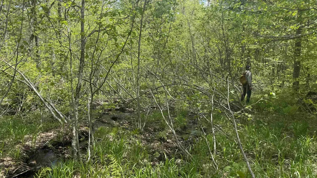 00 Potter Road Lowell VT 05847