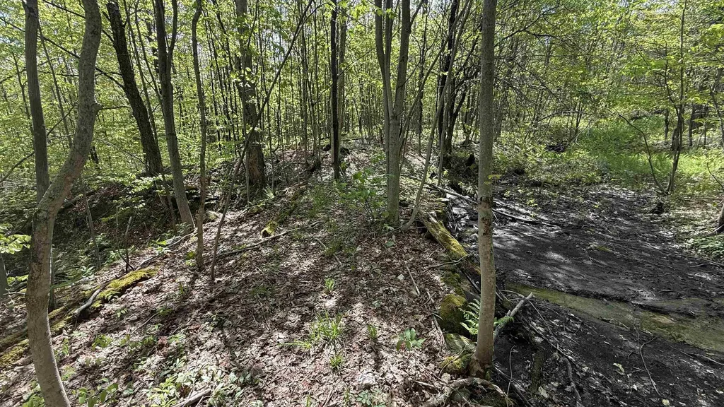 00 Potter Road Lowell VT 05847