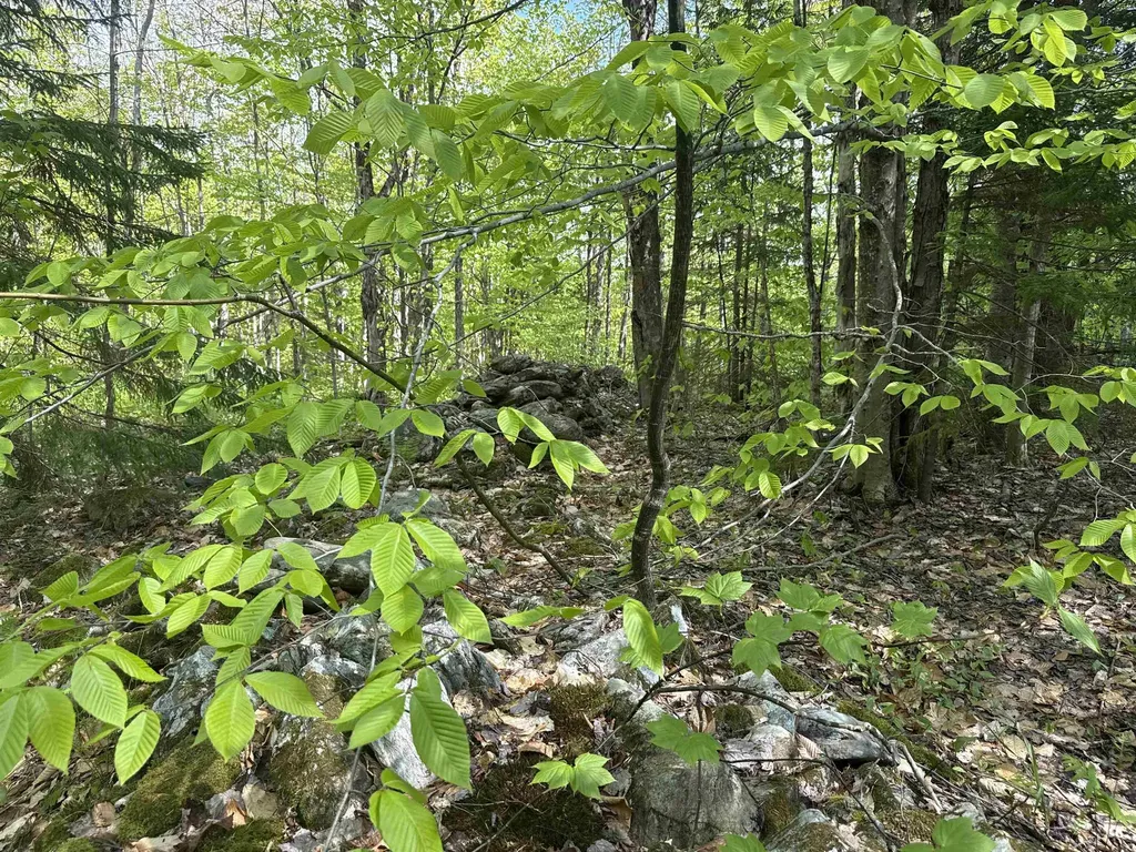 00 Potter Road Lowell VT 05847